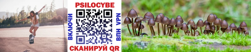 Галлюциногенные грибы MAGIC MUSHROOMS  Купить закладки  Гдов 