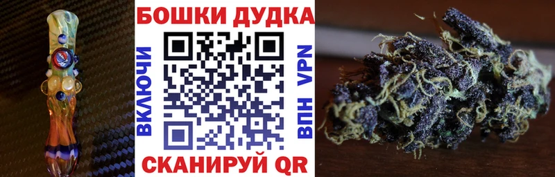 Купить где  Гдов  Каннабис сатива 